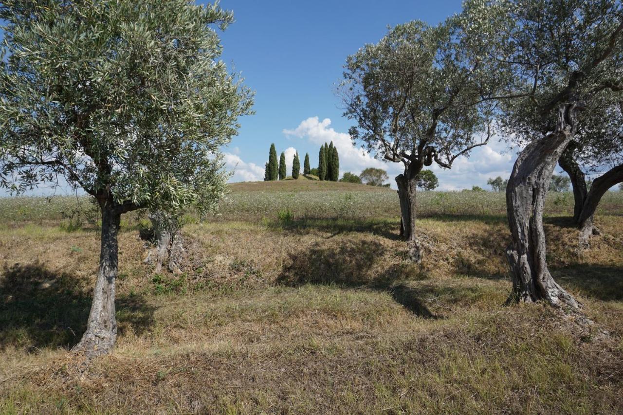 Agriturismo Cheloni Guasticce Экстерьер фото
