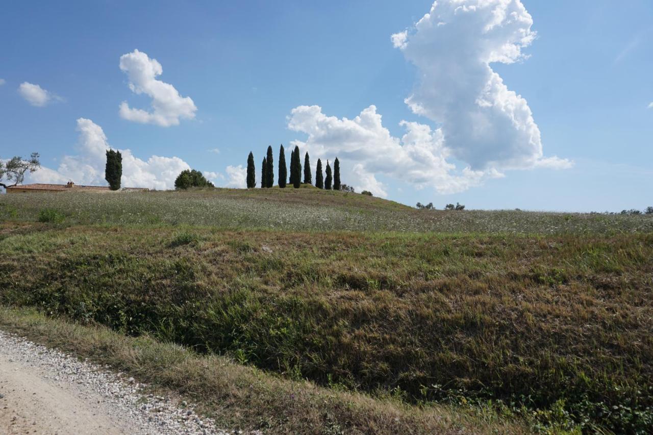 Agriturismo Cheloni Guasticce Экстерьер фото